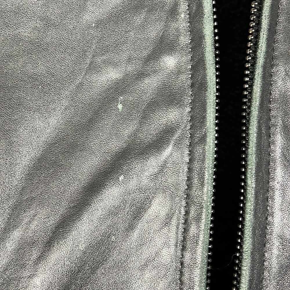 Extasy Italian soft leather pant coat EUC - Picture 3 of 12